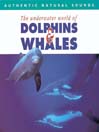 Dolphins & Whales